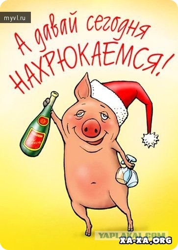 Весёлое из сети