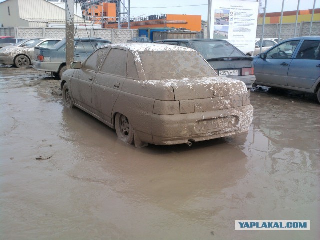 Забавные картинки из Сети