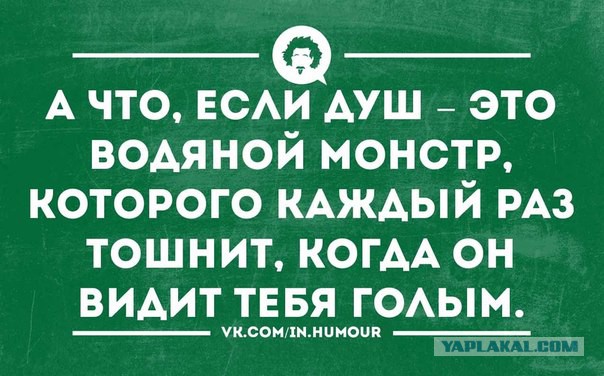 Прикольные картинки из сети