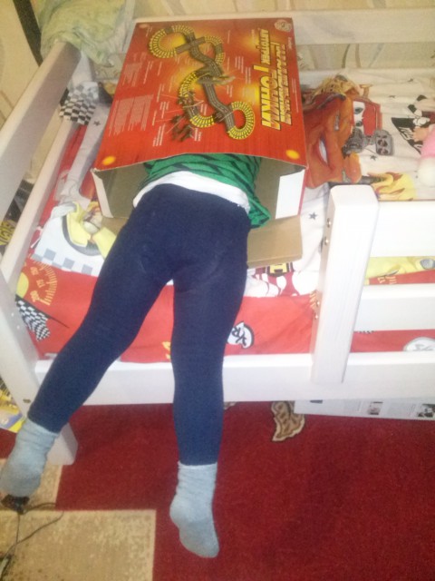 Не бойтесь за кота - он прячется