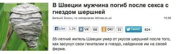Ужасы и приколы из соцсетей 18+