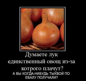 Немного картинок