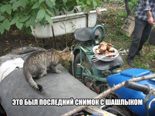 А давайте улыбнёмся В Новом Году
