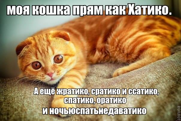 Всяко - разно...картинки