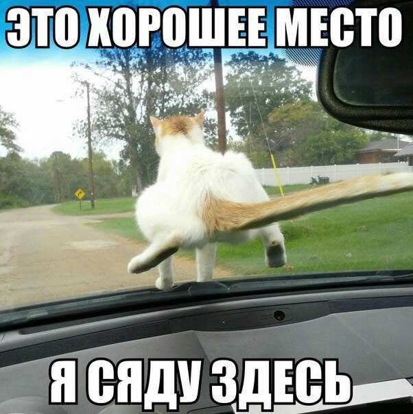 Злые шутки или минутка сарказма на ЯП-е, 16+