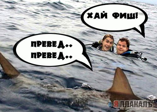 Фотожаба: Два голубка
