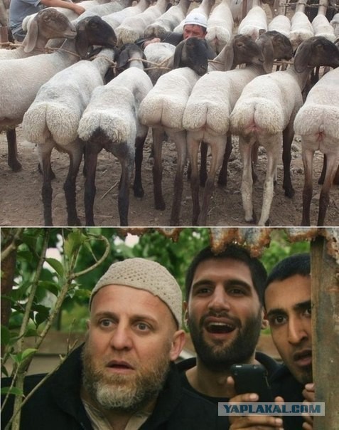 Тревожные сводки из Хасавюрта