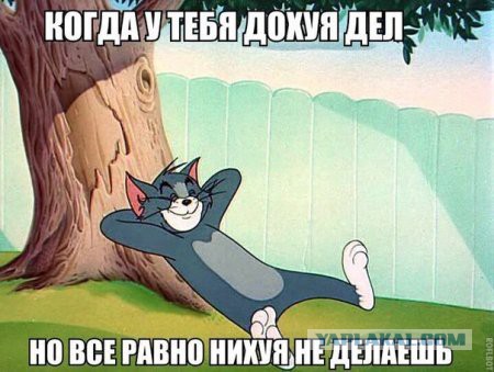 Картинки