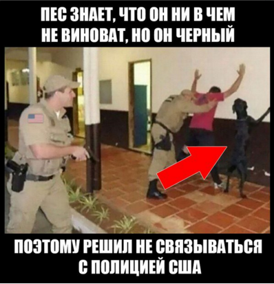 Картинки из ваших этих итернетов...