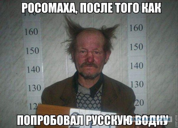 Смешные картинки с надписями