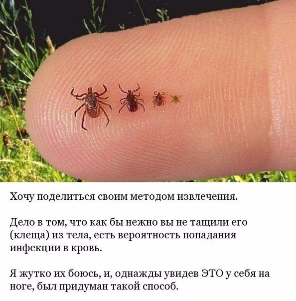 Картинки разные