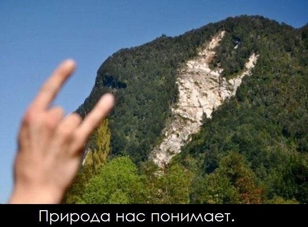 Подборка интересных и веселых картинок