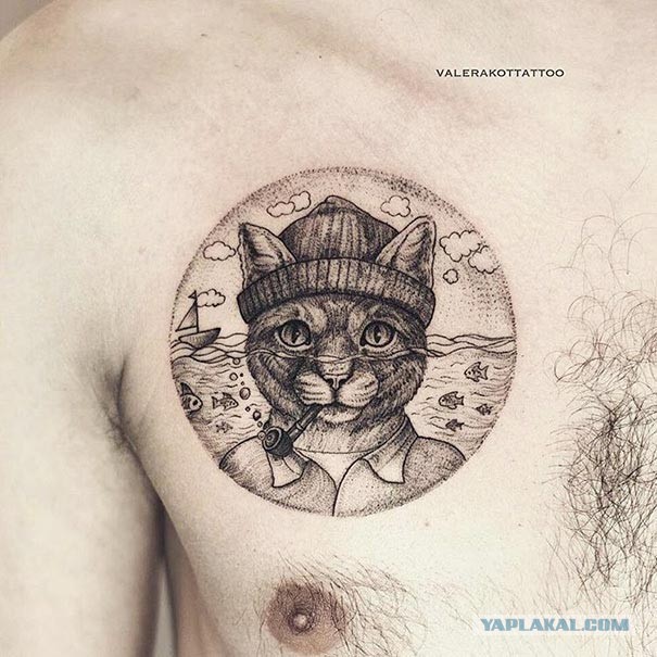 Морские котики