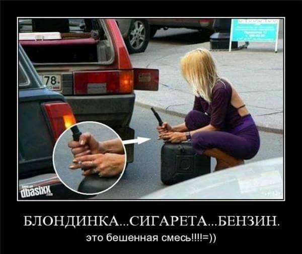 Подборка интересных и веселых картинок