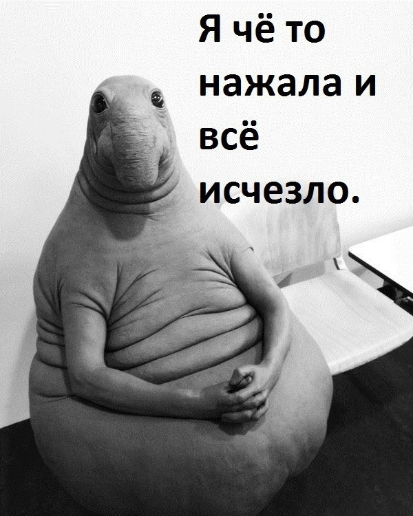 Порция картинок
