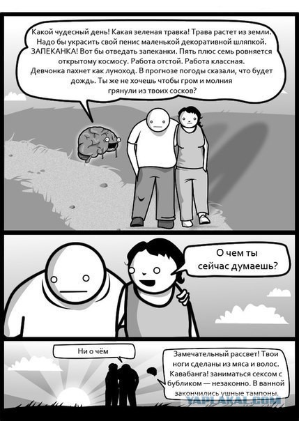 Поляна чёрного юмора и цинизма