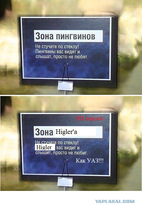 Подборка интересных и веселых картинок