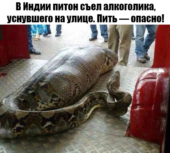30 картинок с просторов на алкогольную тематику