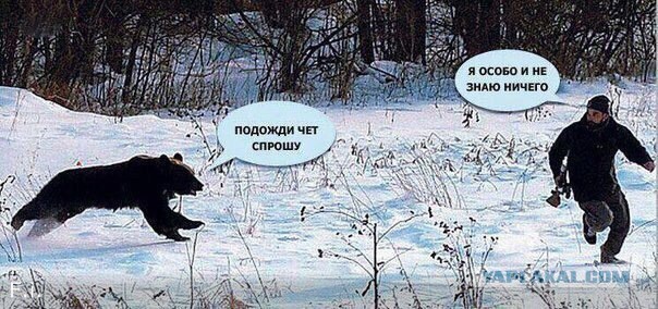 Подборка интересных и веселых картинок