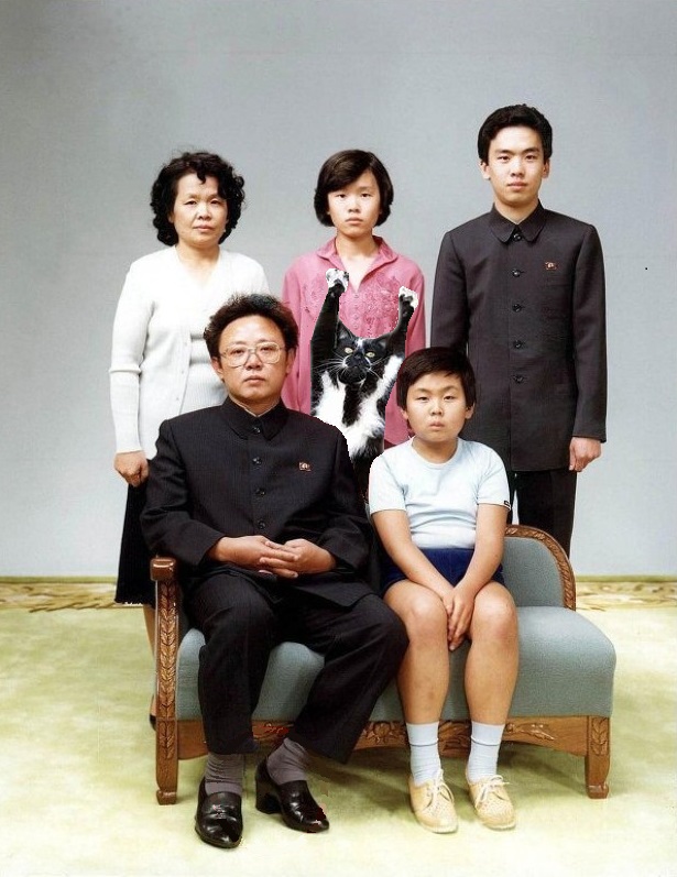 Фотожаба: «Сдающаяся» кошка