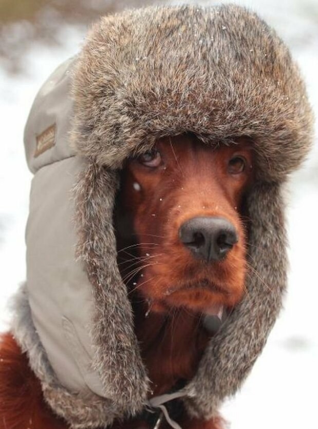 Одевайся теплее на улице холодно картинки