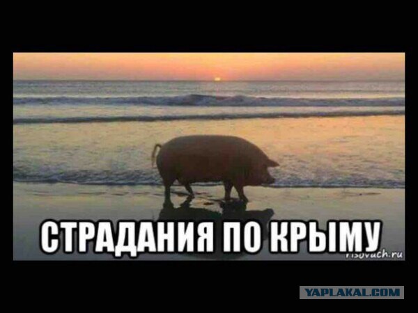 Украина запросила у РФ время и место возвращения моряков и кораблей