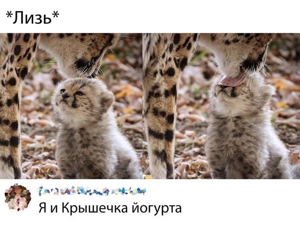 Чуток картинок 08.11.19