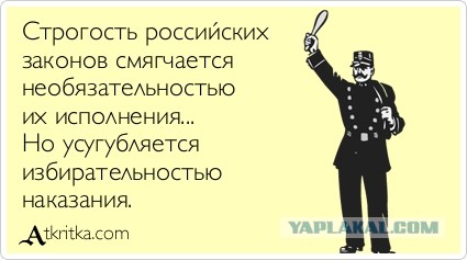 В России предложили приравнять хищение бюджета к госизмене