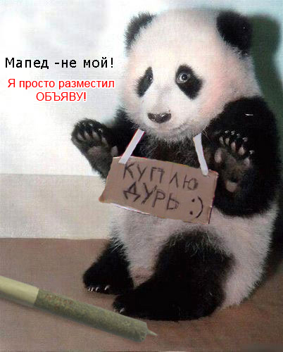 Фотожаба: Панда спалился!