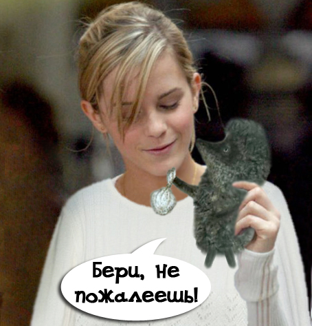 Фотожаба:Подарок Поттера