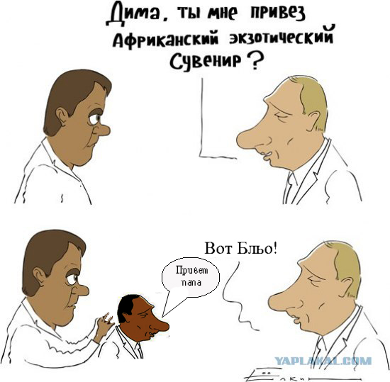 Экзотический сувенир
