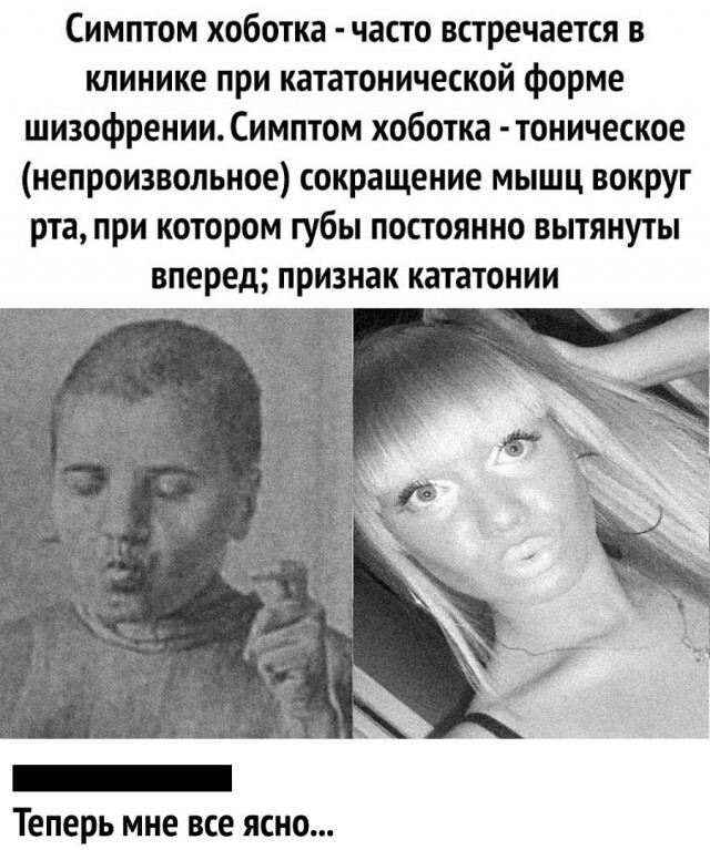 Фотки и картинки: юморные и красивые, забавные и милые 11.11.20