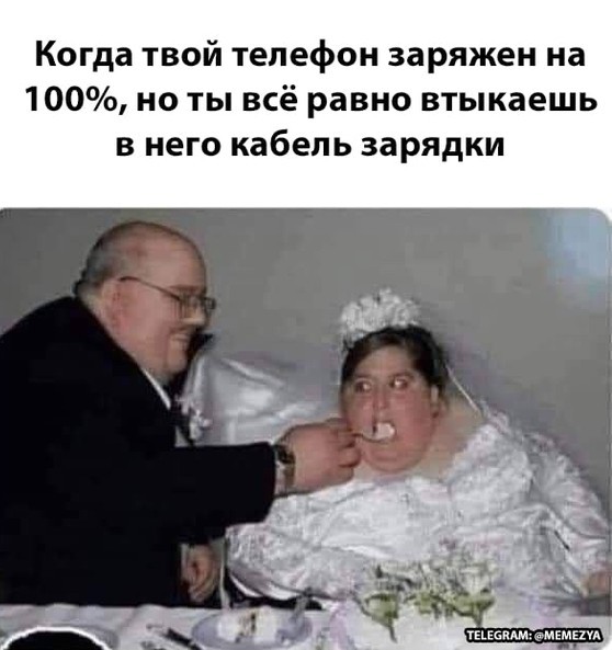 16697747.jpg