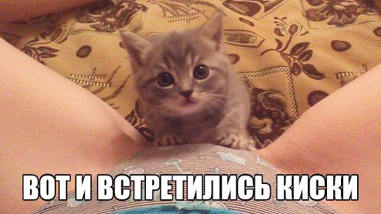 Картинки хз