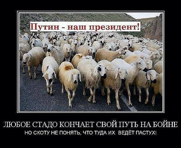 В Кремле прокомментировали информацию об амнистии бойцов ЧВК «Вагнер»