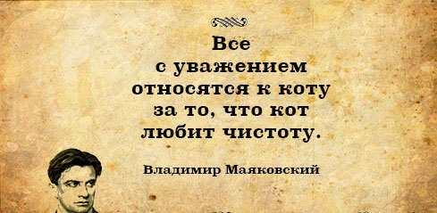 Тяжело без мужика-то поди?