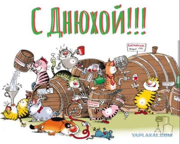 Победная поступь идиотизма по планете – том 6