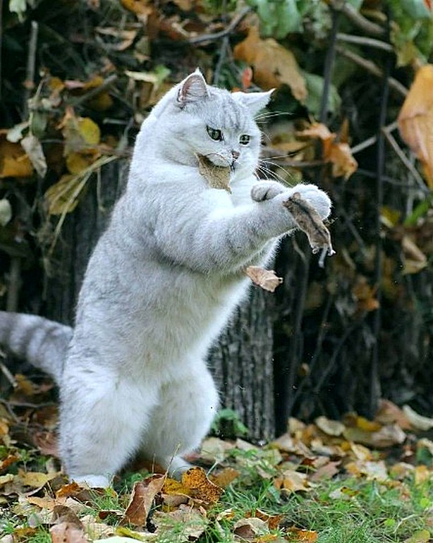 Просто фотографии