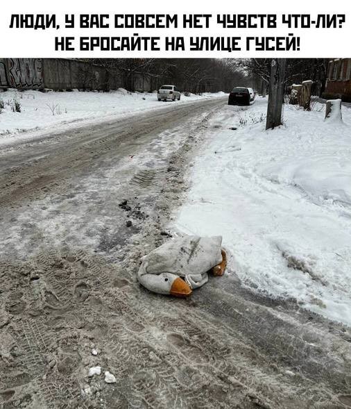 Всего понемногу. От 12.01