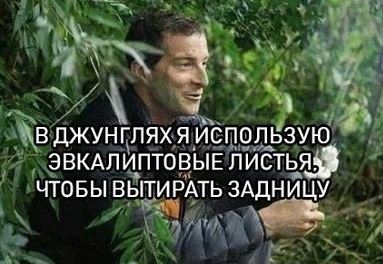 Прикольные комменты и картинки