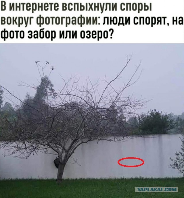 Так себе картинки  07.02.24