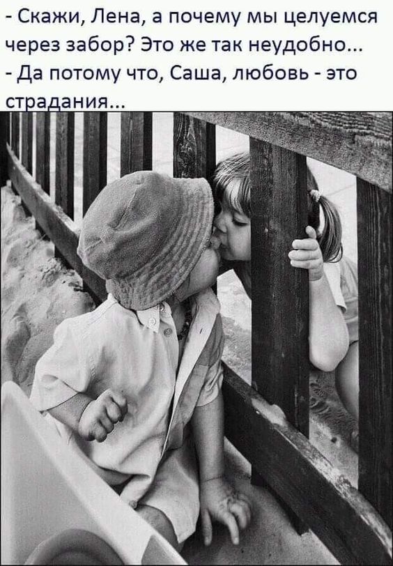 Прикольные и просто красивые картинки 29.10.2024