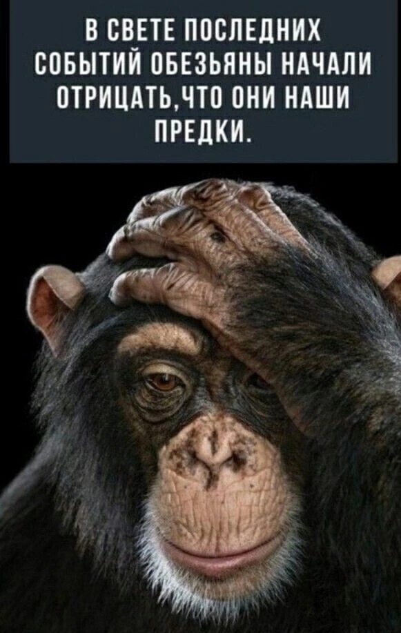 Топ-менеджера "Лаборатории Касперского" развели мошенники на десять миллионов рублей