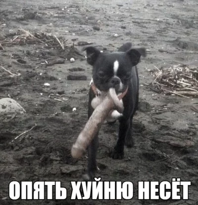 Завалялось тут случайно немного забавных картинок