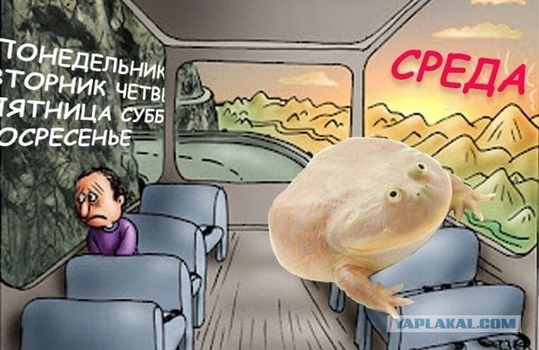 Завалялось тут случайно немного забавных картинок