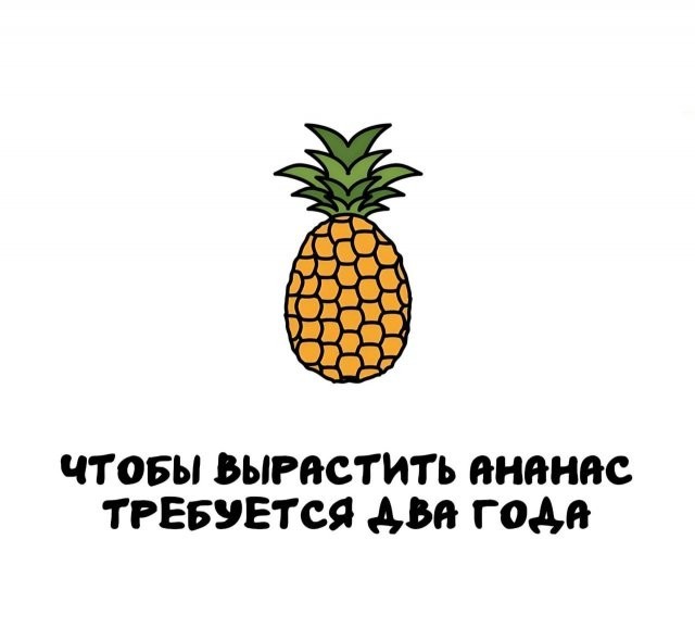 Интересные и короткие факты на все случаи жизни 05.01.26