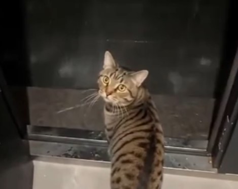 Что хотел, то и получил)
