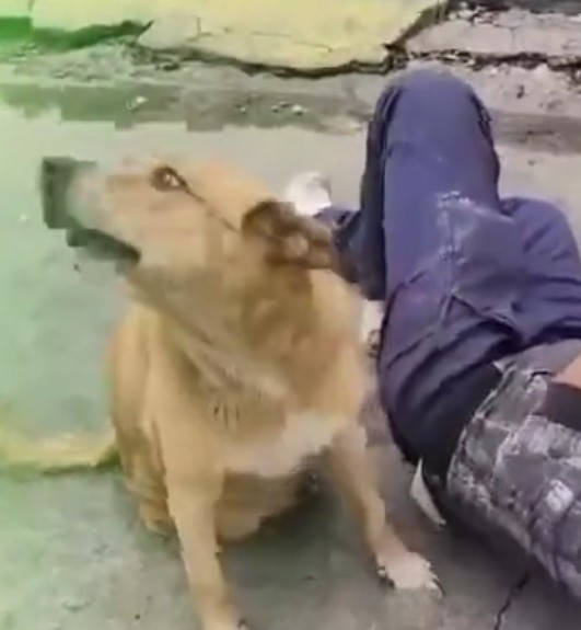 Пожалуйста, вставай!