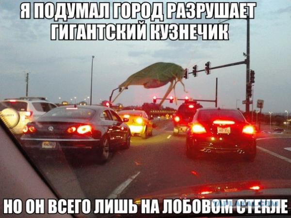 Подборка смешных картинок