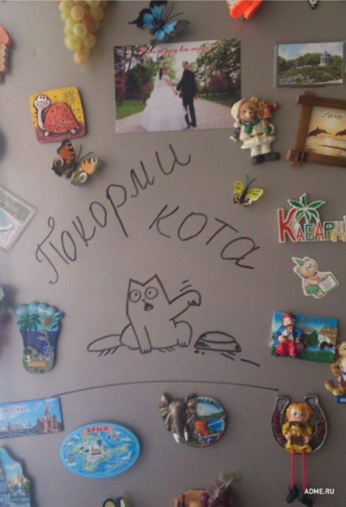 Семейная жизнь в картинках